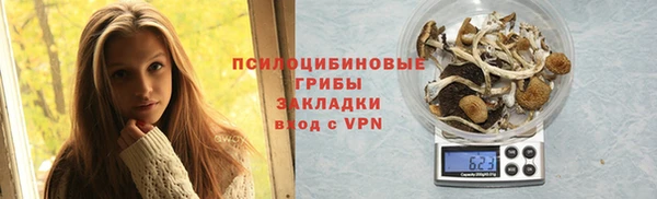 прущие грибы Волоколамск