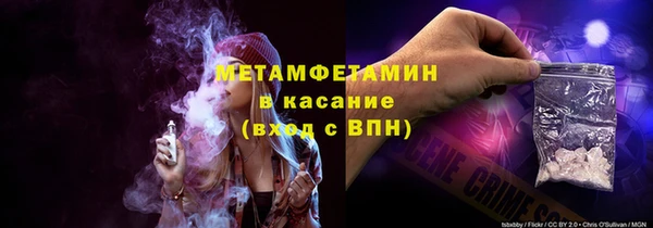 прущие грибы Волоколамск