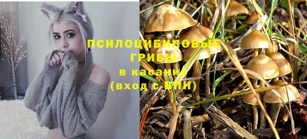 гашишное масло Володарск
