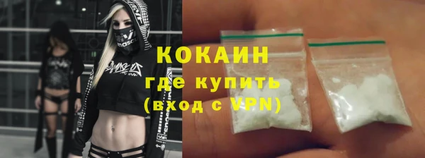 прущие грибы Волоколамск