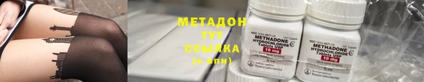 прущие грибы Волоколамск
