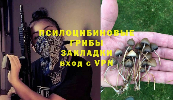 прущие грибы Волоколамск