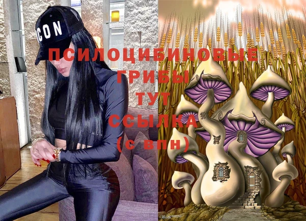 гашишное масло Володарск
