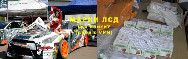прущие грибы Волоколамск