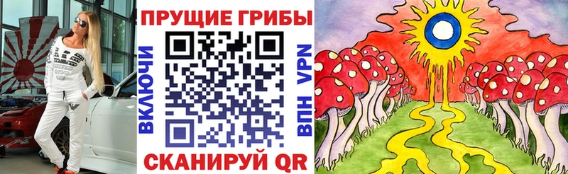 где купить наркоту  кракен ССЫЛКА  Галлюциногенные грибы мухоморы  Дзержинск 