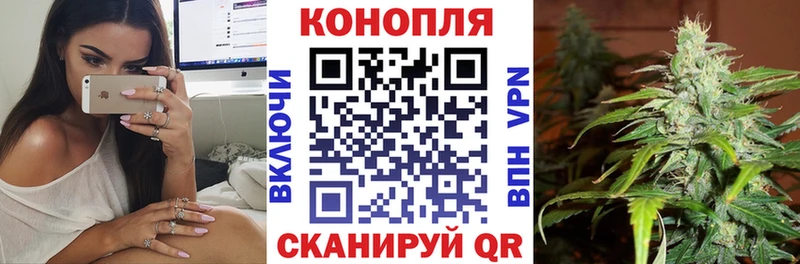 Канабис план Дзержинск
